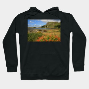 Seil Island Hoodie